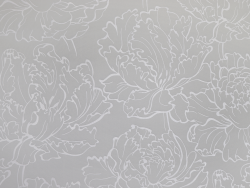 nwvtc0njhveb8ook3f006a03ana7by9q