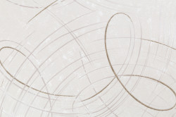 CAT_MACRO_PHOTOwI_PL81592-12_(1)