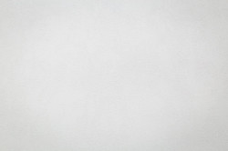 CAT_MACRO_PHOTOuI_HC72581-11_(2)