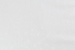 CAT_MACRO_PHOTOrI_PL81593-11_(1)