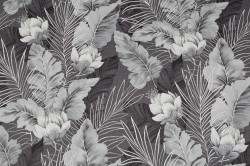 CAT_MACRO_PHOTOlI_HC72241-44_(1)