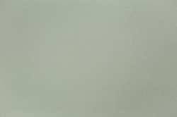 CAT_MACRO_PHOTOxI_PL72536-71_(1)