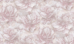 11%D0%A1%D0%913%20%D0%9D%D0%B0%D0%BE%D0%BC%D0%B8%2031