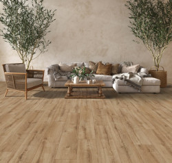 tmp9d9318432873a03b848ab3ab6a88fe78