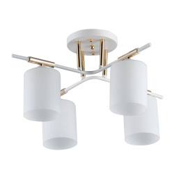 5a58f95e2033458f62d2e2ed429af5f2