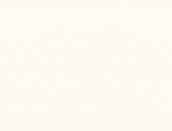 Обои флизелиновые 1.06х10м Флора 1989-61