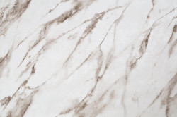 CAT_MACRO_PHOTOdI_HC72319-12_(1)