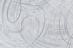 CAT_MACRO_PHOTOeI_PL81592-41_(1)