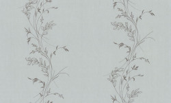 ZOOM2dPL72798-17