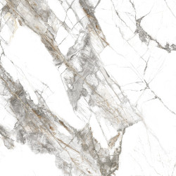 734a82d9-d802-11ef-bbf9-00505693d103