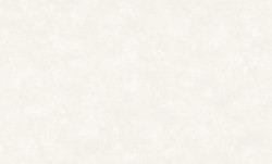 Обои флизелиновые 1.06х10м Токио 70625-12