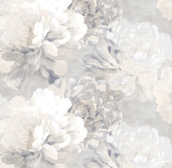 23a7e7oaedbv8s639uc65wh19usouz3b