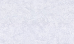 ZOOM2vHC72440-14