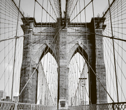 fn8kjqt6rnrt33207sulj6h16zo53ii3