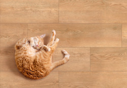 Kronborg-Бежевый-2