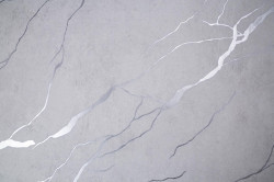 CAT_MACRO_PHOTOzi_HC72604-14_(1)