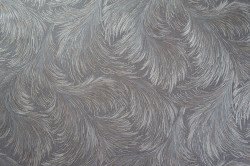 qpmpalk4yvvywais75fpejszi0j1902n