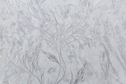 CAT_MACRO_PHOTOrI_HC11063-41_(1)