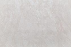 CAT_MACRO_PHOTOiI_HC11064-12_(1)