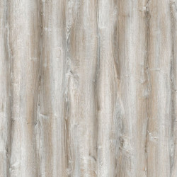 b7d45333_4909_11ef_bad0_005056a454e9_abfaba38_4976_11ef_bad0_005056a454e9