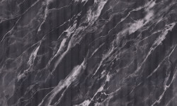 ZOOM2tHC72731-44