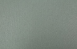 CAT_MACRO_PHOTOsI_PL72947-71_(1)