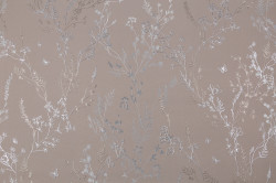 CAT_MACRO_PHOTOmI_HC72414-82_(1)