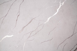 CAT_MACRO_PHOTOqi_HC72604-22_(1)