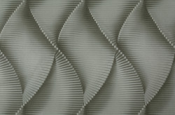 CAT_MACRO_PHOTOcI_HC72177-74_(1)