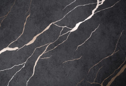 CAT_MACRO_PHOTOmi_HC72604-44_(1)