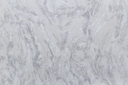 CAT_MACRO_PHOTOmI_HC11064-41_(1)