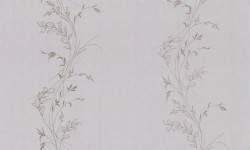 ZOOM2cPL72798-24