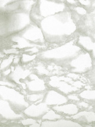 93bccc6fe7b8d7c5150d0d7164904bee