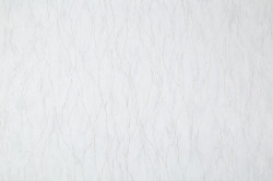 CAT_MACRO_PHOTOkI_SL72199-14_(1)