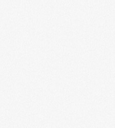 Обои дуплекс двуслойные 0.53х10м Салерно фон 06д