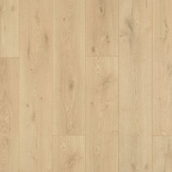 tmpb29ce66e24074a143f3e039a88f82121