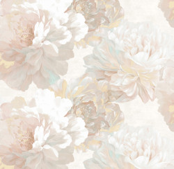 wkg3m05qsdwacj5vzfdm55r5b2p7v5me