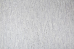 CAT_MACRO_PHOTOtI_SL72199-44_(1)