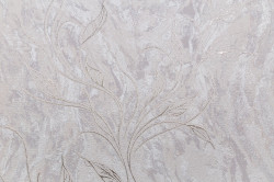 CAT_MACRO_PHOTOvI_HC11063-28_(1)