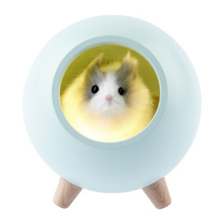 2e0a8293974046d5bc15379dc18ef6db