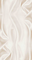 panel_pvkh_gladiolusy_fon_250kh2700