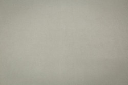 CAT_MACRO_PHOTOoI_HC72581-17_(1)