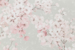 CAT_MACRO_PHOTOoI_PL72651-17_(2)