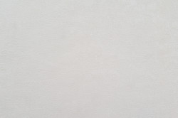 Обои флизелиновые 1.06х10м Перо 10889-01*1рулон