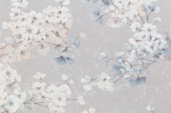 CAT_MACRO_PHOTOjI_PL72651-41_(2)