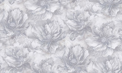 11%D0%A1%D0%913%20%D0%9D%D0%B0%D0%BE%D0%BC%D0%B8%2021