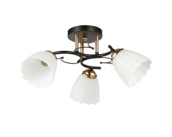 npk0p37t4h7re2pfal9uujedut62jyy3