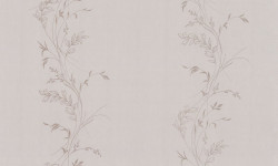 ZOOM2qPL72798-22