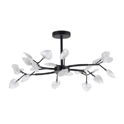 53wa2rd2bcy7hynykr6mf8vcdmg7k227