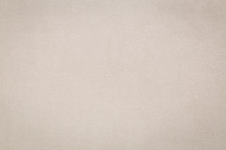 CAT_MACRO_PHOTOfI_HC72581-22_(2)